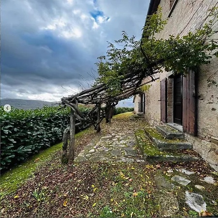 Maridiana Alpaca Country House-3